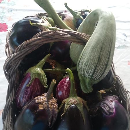 Agri BERTORELLA Cuneo Bagian luar foto