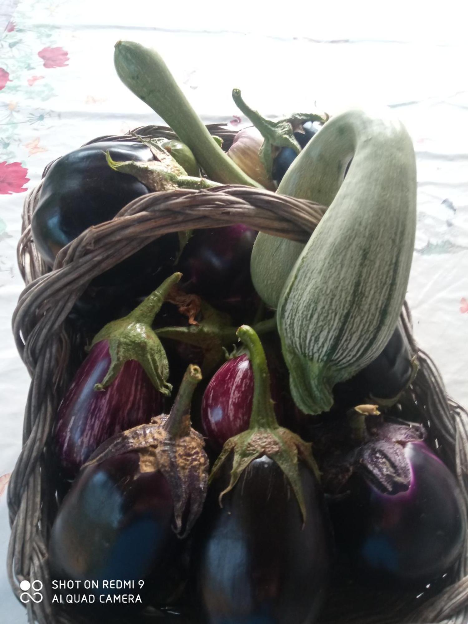 Agri BERTORELLA Cuneo Bagian luar foto